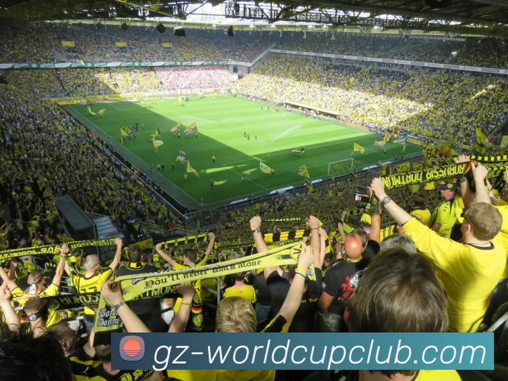 世俱杯官方网站APP 体育赛事宣传图